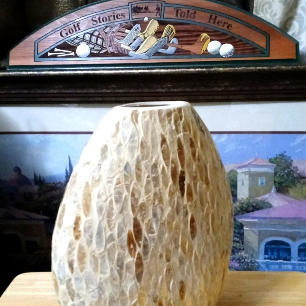 π€πFire Fly Mother of pearl vaseππππSize 12"Γ11",A Nice Gift Item.ππππ - Picture 1 of 7